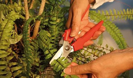 Комбинированные ножницы, прямые D47