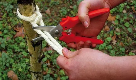 Комбинированные ножницы, прямые D48